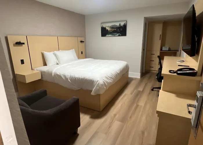 Super 5 Inn Mississauga