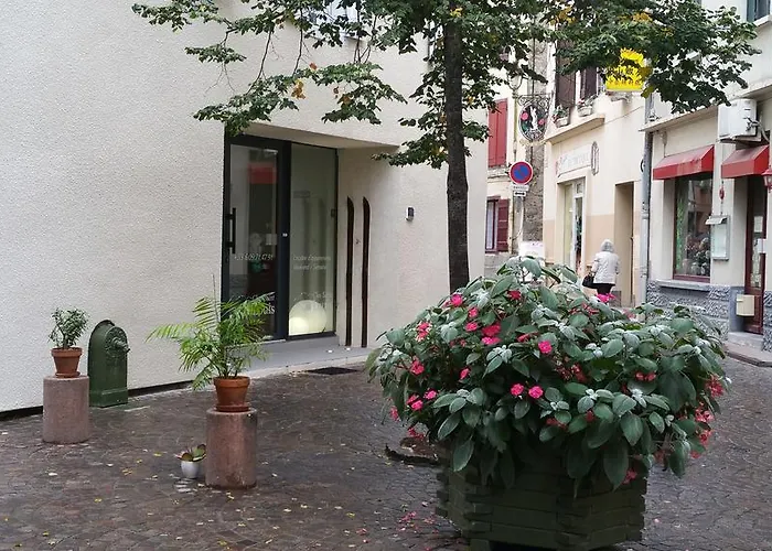 Le Clos St Louis Ax-les-Thermes acceptant les animaux