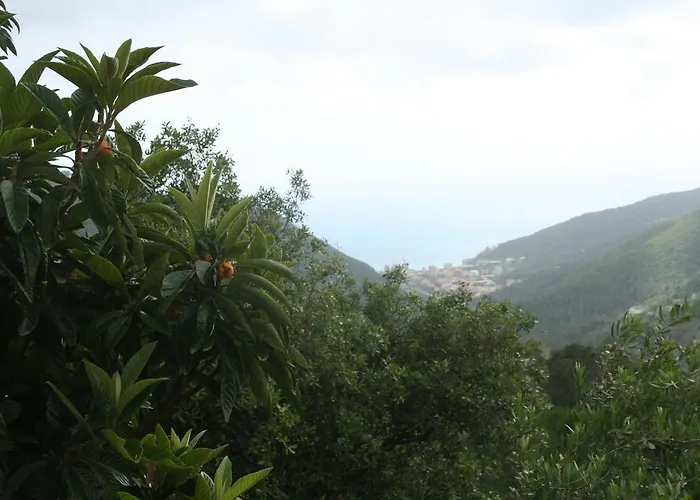 Hotel 5 Terre Nel Sole Deiva Marina