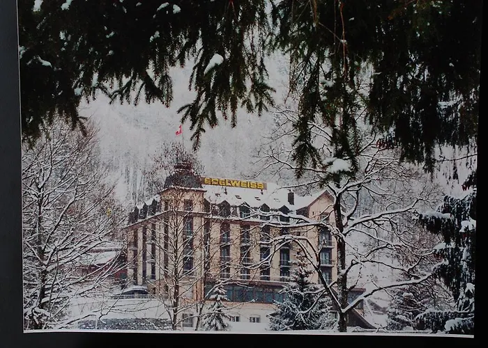 Hotel Edelweiss Engelberg