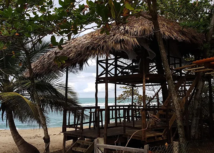 Puerto Plata Dog Friendly Hotels