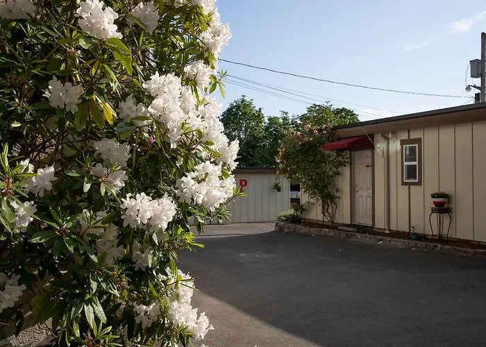 Cherry Tree Inn Saanich