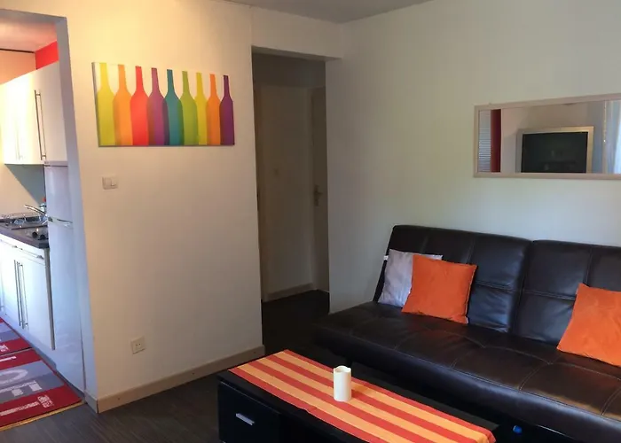 Appartement vue sur lac Gérardmer acceptant les animaux