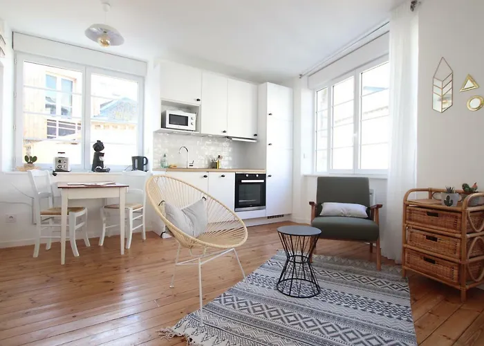 Grand Studio Bord De Mer Saint-Malo acceptant les animaux