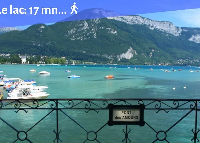 Portes de la vieille ville Annecy acceptant les animaux