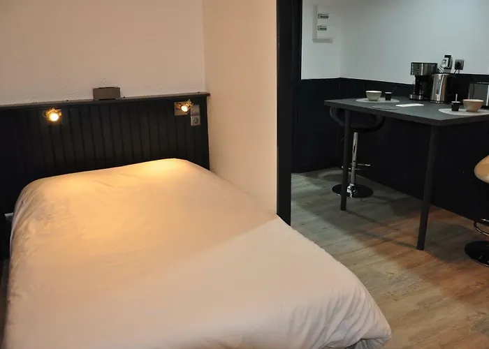 Studio Vic 2.0 Vic-sur-Cère