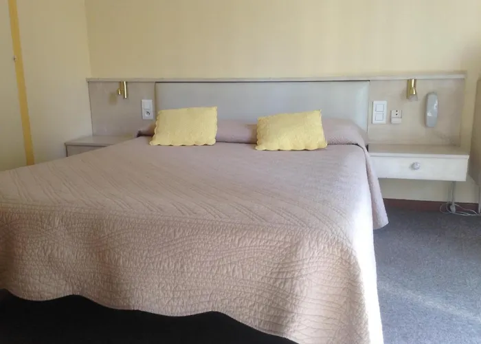 Hotel Moderne Menton acceptant les animaux
