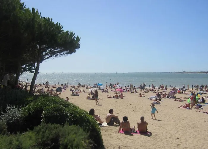 Hotel La Rochelle sur L'eau acceptant les animaux