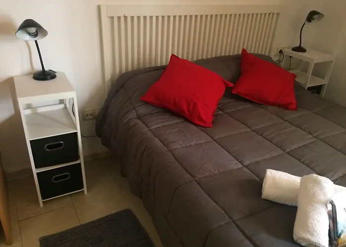 Hotel Loft Barri Vell Girona 2D acceptant les animaux