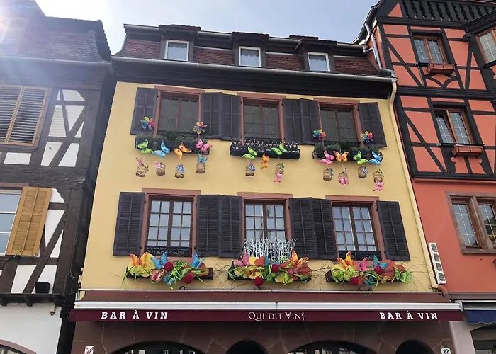 Les Appartements d'Alicia Obernai