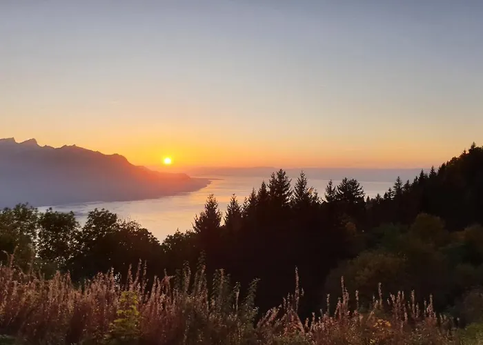 Bnb Belalp Montreux - Hôtel 4 étoiles