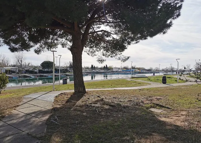 Boutique TRES JOLI STUDIO CABINE les pieds dans l'eau AVEC VUE sur le canal Le Grau-du-Roi